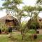 Serengeti Serena Safari Lodge - Národní park Serengeti