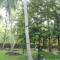 Elegant Hamlets Home Stay