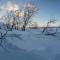 Abisko Guesthouse & Activities