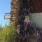 Les Glycines photo 20