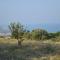 Case Vacanze La Venere