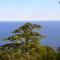 Villa Azur Cap d'Ail