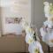 Delta Resort Apartments - Ascona