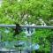 Costa Azul Suites 401