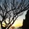 Sunset Sea Breeze
