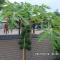 Rose Lodge Homestay