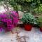 Tzaneria Apartments Skiathos