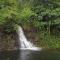 Athirapally Green Trees - Athirappilly