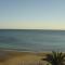 Palmeral de Torrevieja