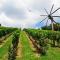 Weingut Stoff