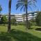 Appartement Les Palmiers - Vacances Cote d'Azur - Cannes