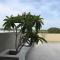 Tree Tops Yala