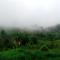 Lovely Farm