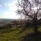Camping Castillo de Loarre