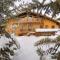 Chalet Alpina Hotel & Apartments - La Thuile