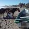Playa Roca Beach Hotel
