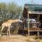 Chandelier Game Lodge - Oudtshoorn