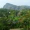 Eden View Ella - Tour options in the area