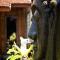 Benthos Bali Dive Resort