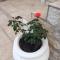 Apartments Isabella - Family Only - 库斯提奇