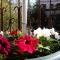 Yerevan center apartment 5A