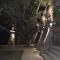 Birrea Guest house