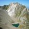 Alpenrose