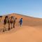 Desert Bivouac Mhamid