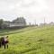 Foto: Waiuku Serene Farm & Home 16/28