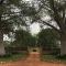 Baobab Lane Lodge