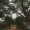 Baobab Lane Lodge