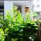 East of Love Homestay