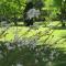 Le Jardin photo 14
