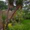 Le Logis De Saint-Martin photo 11