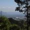 Campestre DAARLU