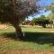 Foto: Carnarvon Caravan Park 11/29