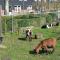De Rulse Hoeve