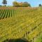 Weingut Stoff