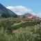 Il Girasole B&B