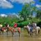 Banana Bank Lodge & Jungle Horseback Adventures - Belmopan