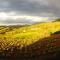 Gîte Vigneron du Domaine dAlon