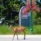 Mountain View Radium Condo - Copper Horn Village - Radium Hot Springs