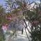 Nature Houses