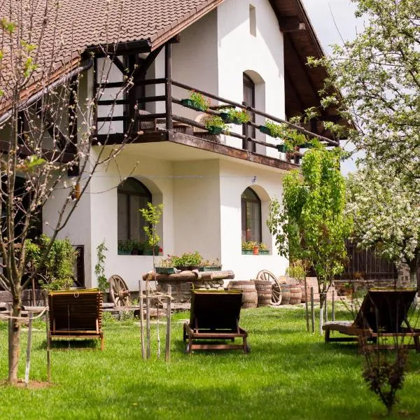 Casa Mosului - Transfăgărășan Bed & Breakfast, hotel in Cîrţişoara