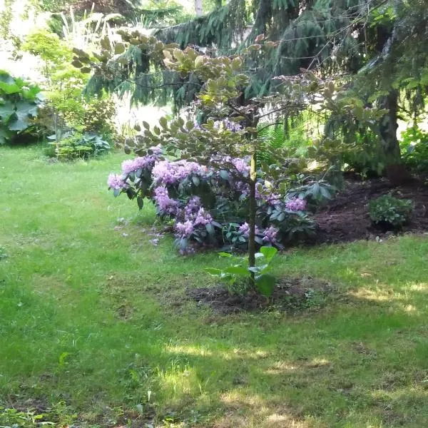 Varázsfa Vendégház, hotell sihtkohas Demjén