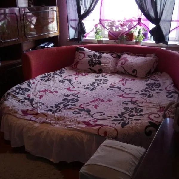 Apartment on Raisy Okipnoi 5, hotel in Kyiv