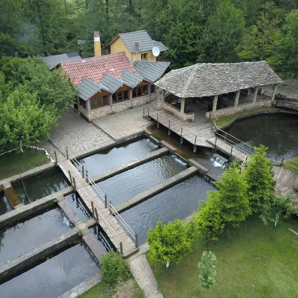 Farma Sotira, hotel in Leskovik