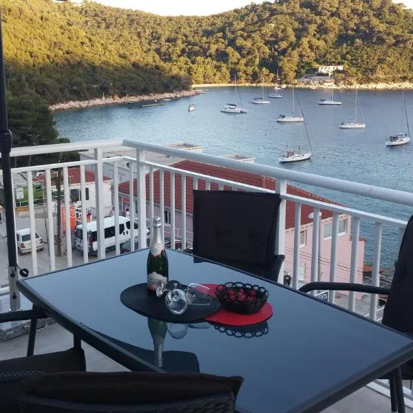 Apartments Pavlić，位于萨普伦纳拉的酒店