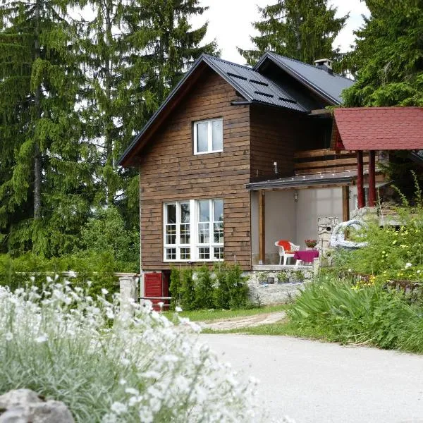 Vlašić House, ξενοδοχείο σε Vlasic