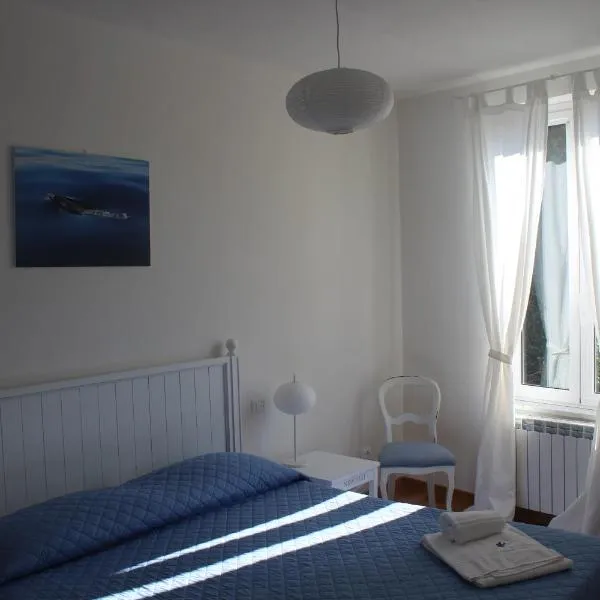 5 TERRE PELAGOS 2, hotel in Manarola